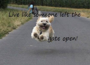 Live like someone left the gate open