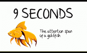 goldfish-attention-span-800x488